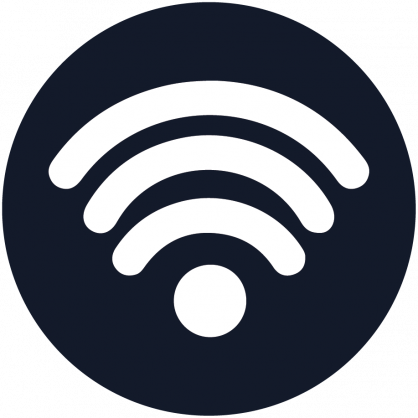 System's Security Lion's