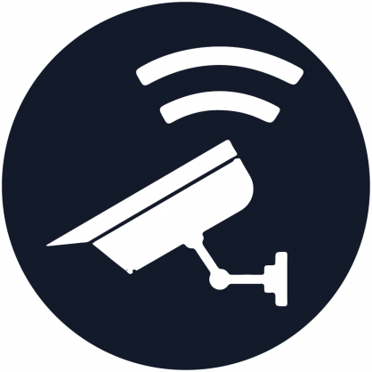 System's Security Lion's