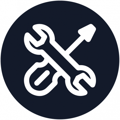 System's Security Lion's